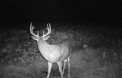 110 Acres County Road O, Bruce, WI 54819