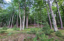 Lot 3 BIG RIPLEY ISLAND, Minocqua, WI 54548