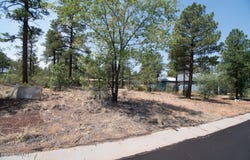 381 E Huckleberry Lane, Show Low, AZ 85901