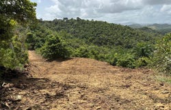 Pr-172 Km 10.2 RIO ABAJO WARD, LOT E, CIDRA, 00739