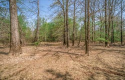 Tbd S Diana, Diana, TX 75640