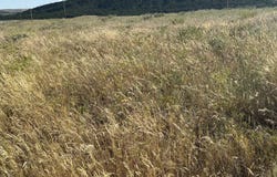 OAK FLAT, Goldendale, WA 98620