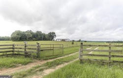 131 Griffin, Hawkinsville, GA 31036
