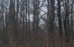On CTH O, Catawba, WI 54515