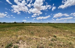 Camino Ulibarri, Veguita, NM 87062