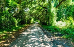 000 Arsburn Road, James Island, SC 29412