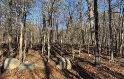 PHEASANT Drive lot: 11, WINCHESTER, VA 22602