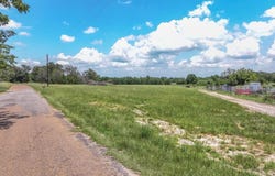 1956 VZ County Road 4511, Ben Wheeler, TX 75754