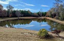 817 Wiggins Rd., Evergreen, AL 36401