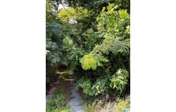 HIGHWAY 78 lot: 0, RIVERSIDE, AL 35953
