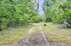 LOT74 NW 22ND AVENUE, Jasper, FL 32052