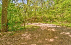 418 Dunaway Gap NE, Summerville, GA 30747