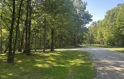 Running Deer, Crab Orchard, TN 37723