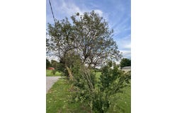 4437 Beechgrove Rd., Bucyrus, OH 44820