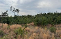 County Road 94, Grenada, MS 38901