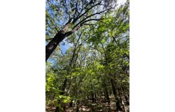 140 Deerfield Road, Colbert, OK 74733