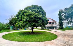 500 BRISAS DE BARAHONA, MOROVIS, 00687