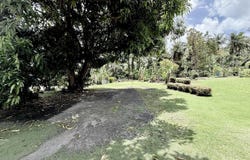 Chalan Papatguan, Malesso, GU 96915
