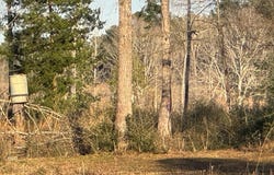 2165 Dorsey Road, Hemphill, TX 75948