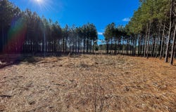 609 Barker Road, Morton, MS 39117