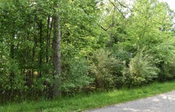 Islanders lot: 271, Gladwin, MI 48624