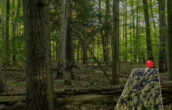 Lot 2 E Arthur Road, Rothbury, MI 49452