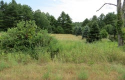 001 NYS Route 9N, Jay, NY 12941