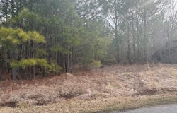 Carter Street, Woodland, NC 27897