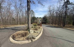 575 (Lot 45) Mustang Drive, Clinton, AR 72031