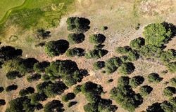 1635 Marmot Drive, Ridgway, CO 81432