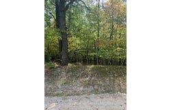 10082 Sante Fe Trail, Canadian Lakes, MI 49346