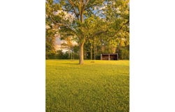 988 Salem Church, Collins, MS 39428