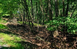 711 Eagle Pass, Swiftwater, PA 18370