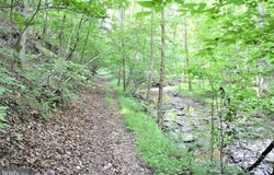 LOT 11-HOOVER MTN PACK HORSE ROAD, WINCHESTER, VA 22603