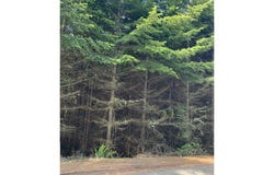 00 Shelley RD, Coquille, OR 97423