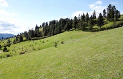 Tbd Dent Bridge Rd, Orofino, ID 83544