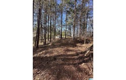 0 MOHAWK BLUFF DRIVE, OHATCHEE, AL 36271
