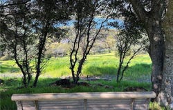 17282 Greenridge Road, Hidden Valley Lake, CA 95467