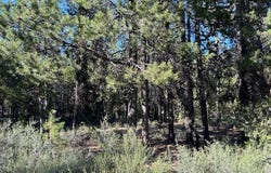Pine Creek LOOP, Crescent Lake, OR 97733
