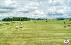 8 W Hwy 92/Twyford Point Rd., Monticello, KY 42633