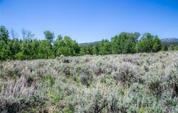 Lot 40 Sun West Ranch, Cameron, MT 59720