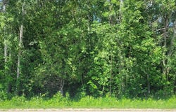 00 Ellsworth Road, Ellsworth, MI 49729-9999