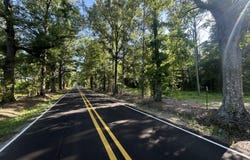 Stump Ridge Road, Brandon, MS 39047