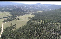 TBD County Road 12, Florissant, CO 80816