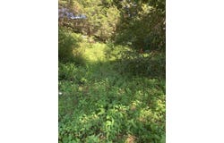 230 Cougar Road, Whitethorn, CA 95589