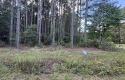 7214 Jericho Road, Pine Bluff, AR 71603