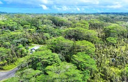 PLUMERIA RD, Pahoa, HI 96778
