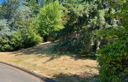 3046 Whitbeck BLVD, Eugene, OR 97405