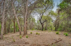 4923 Shining Star Trail, Rio Vista, TX 76093