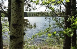 6157 Voyaguers Trail, Biwabik, MN 55708